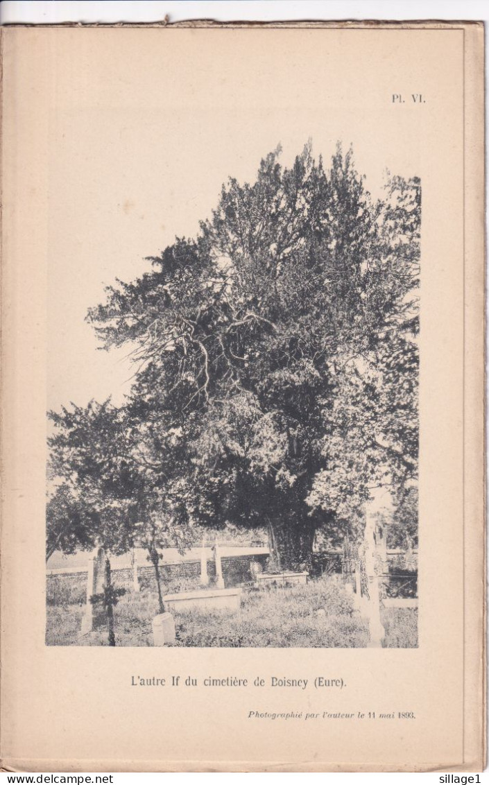 Boisney (Eure 27) IFS Du Cimetière - 2 Planches Anciennes Sortie D'un Livre - Photographié Le 11 Mai 1893 - Other Plans