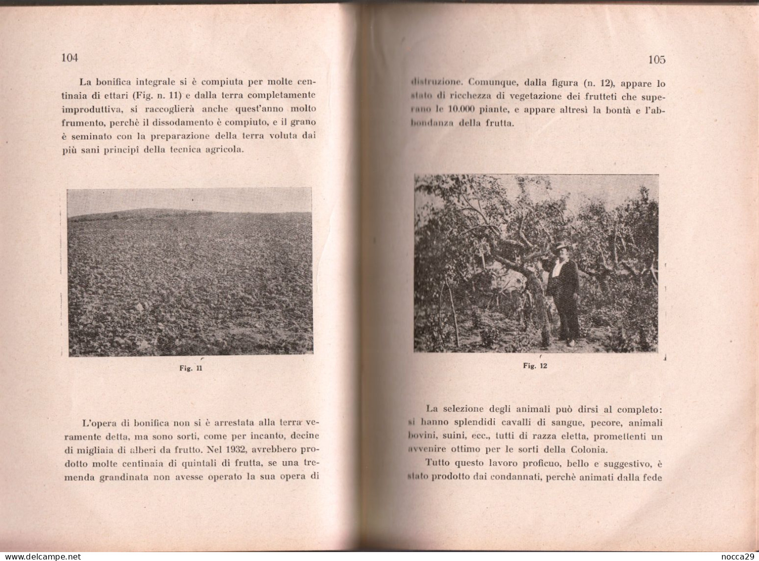 PAROLE E RIFLESSIONI 1933 LIBRO SULLA CONDIZIONE CARCERARIA - CORRADO FIACCAVENTO - ED. L.I.S. SASSARI (STAMP264) - Altri & Non Classificati