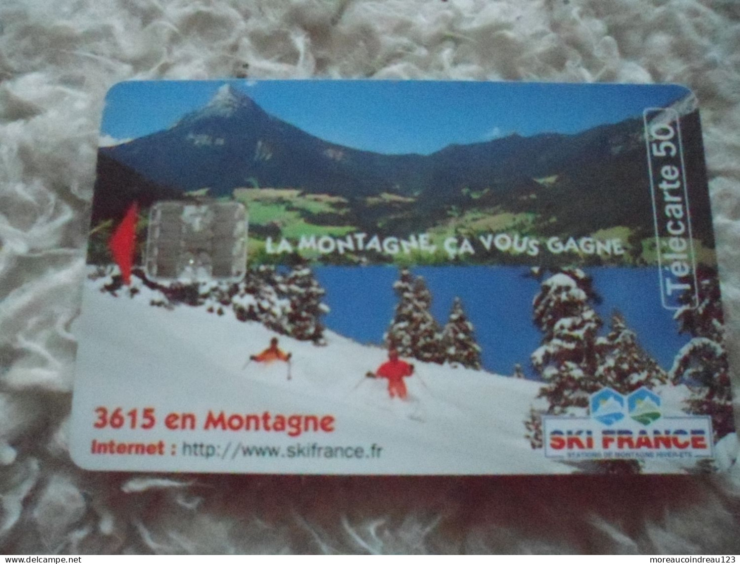 Télécarte Ski France La Montagne Ca Vous Gagne - Telecom