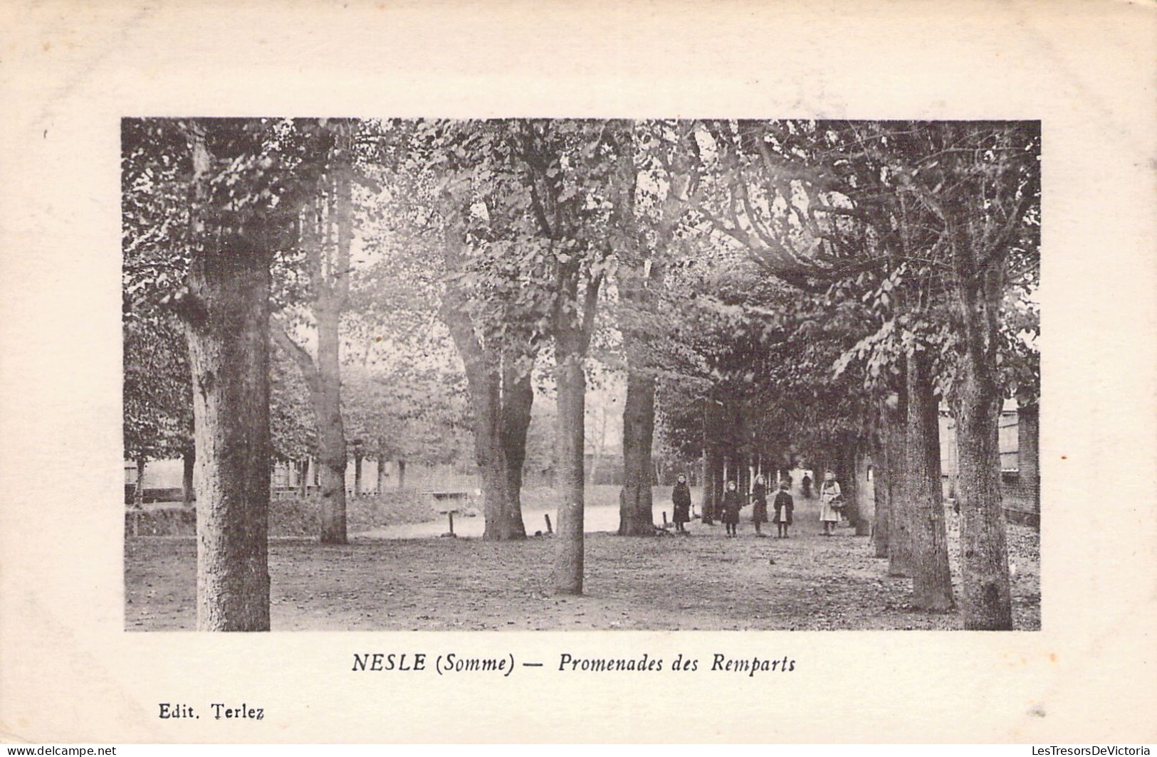 FRANCE - 80 - NESLE - Promenades Des Remparts - Ed Terlez - Carte Postale Ancienne - Nesle