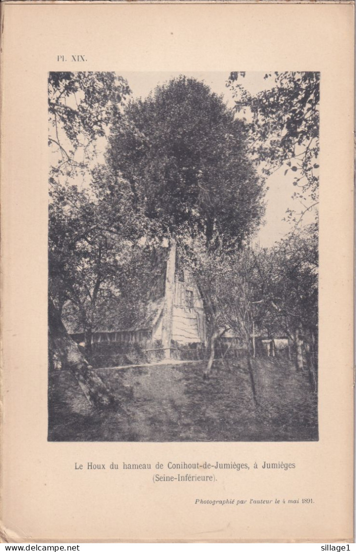 Jumièges (Seine Maritime 76) Le Houx Du Hameau De Conihout-de-Jumièges, à Jumièges -  Photographié Le 4 Mai 1891 - Otros Planes