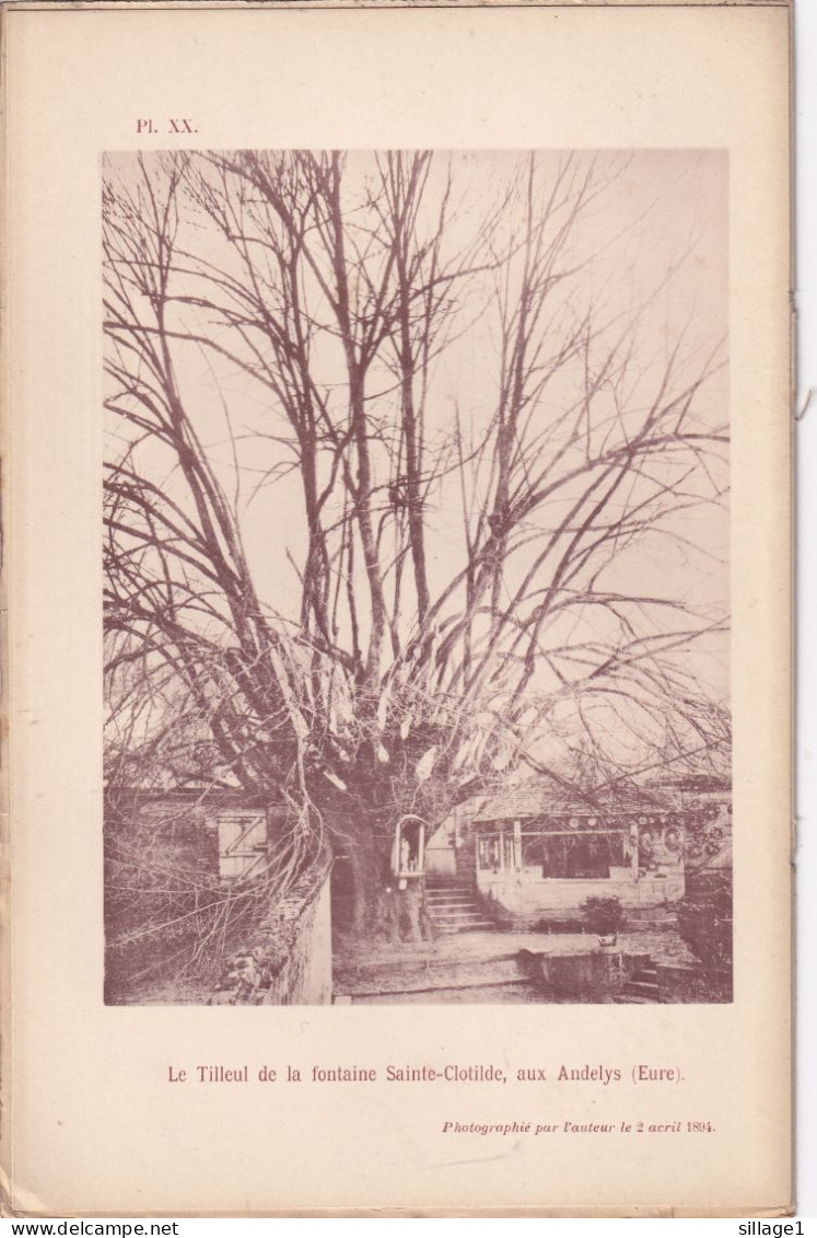 Les Andelys (Eure 27) Le Tilleul De La Fontaine Sainte-Clotilde, Aux Andelys  (Eure) -  Photographié Le 2 Avril 1894 - Andere Plannen