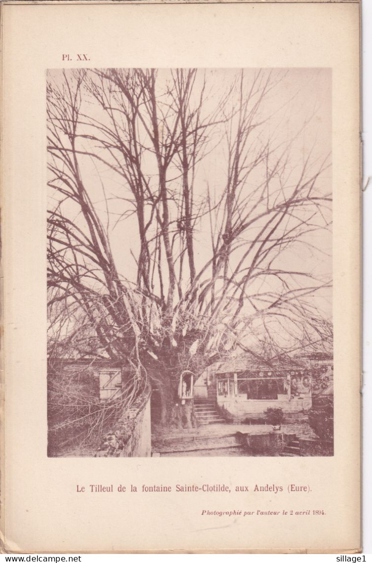 Les Andelys (Eure 27) Le Tilleul De La Fontaine Sainte-Clotilde, Aux Andelys  (Eure) -  Photographié Le 2 Avril 1894 - Andere Pläne