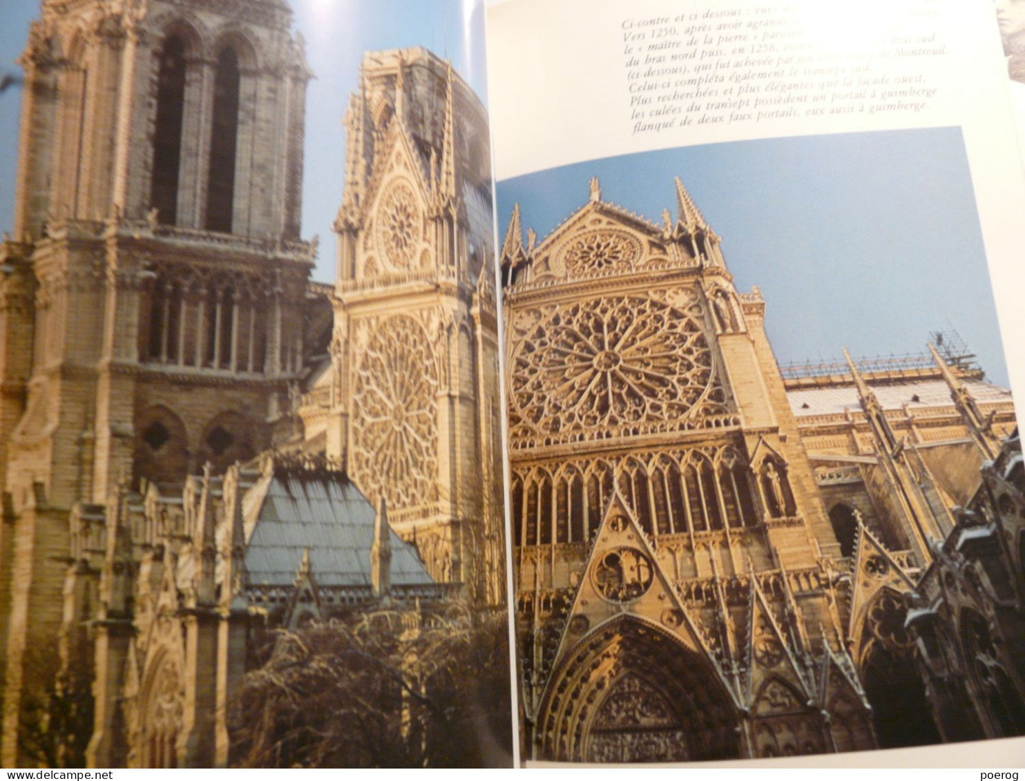 NOTRE DAME ET LA SAINTE CHAPELLE - LES PASSEPORTS DE L'ART - MONOGRAPHIE - 1987 - REGION - EDITIONS  ATLAS CATHEDRALE - Unclassified