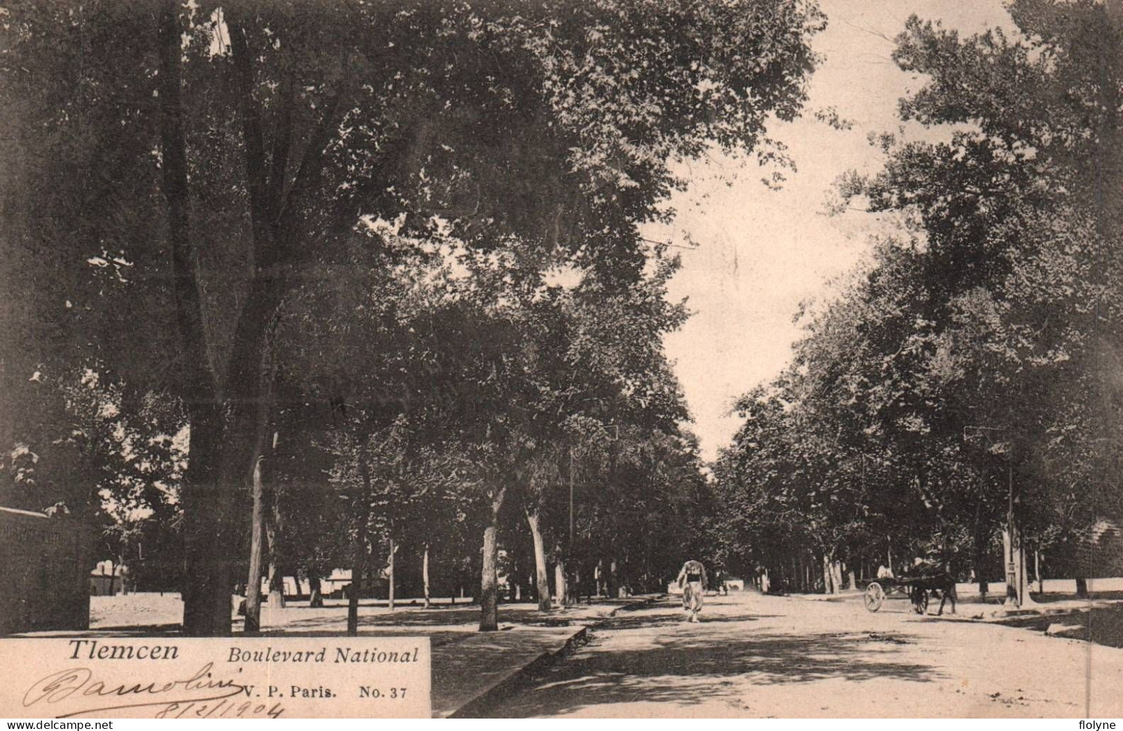 Tlemcen - Le Boulevard National - Algerie Algeria - Tlemcen