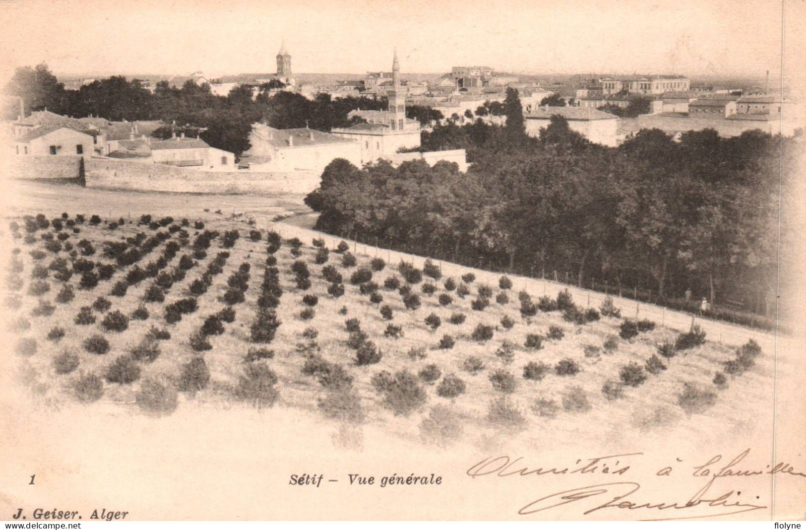 Sétif - Vue Générale De La Ville - Algerie Algeria - Setif