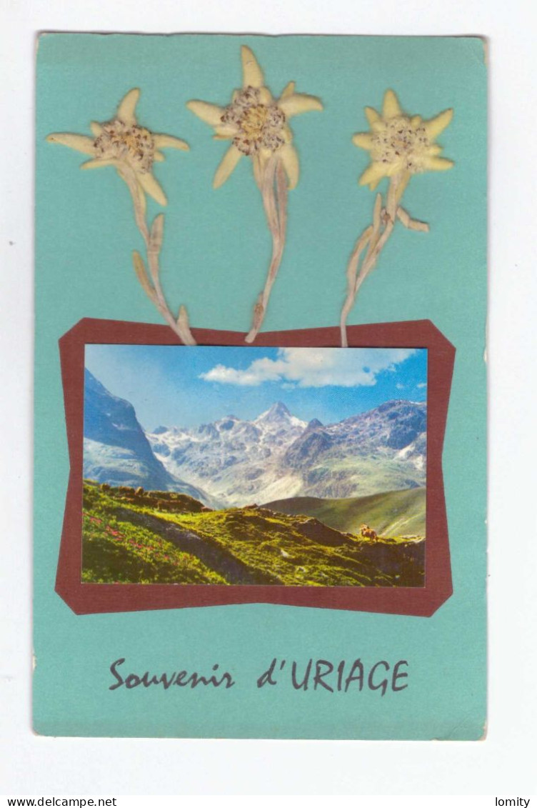 Carte à Systeme Véritable Edelweiss Sur Carte Souvenir D' Uriage - A Systèmes