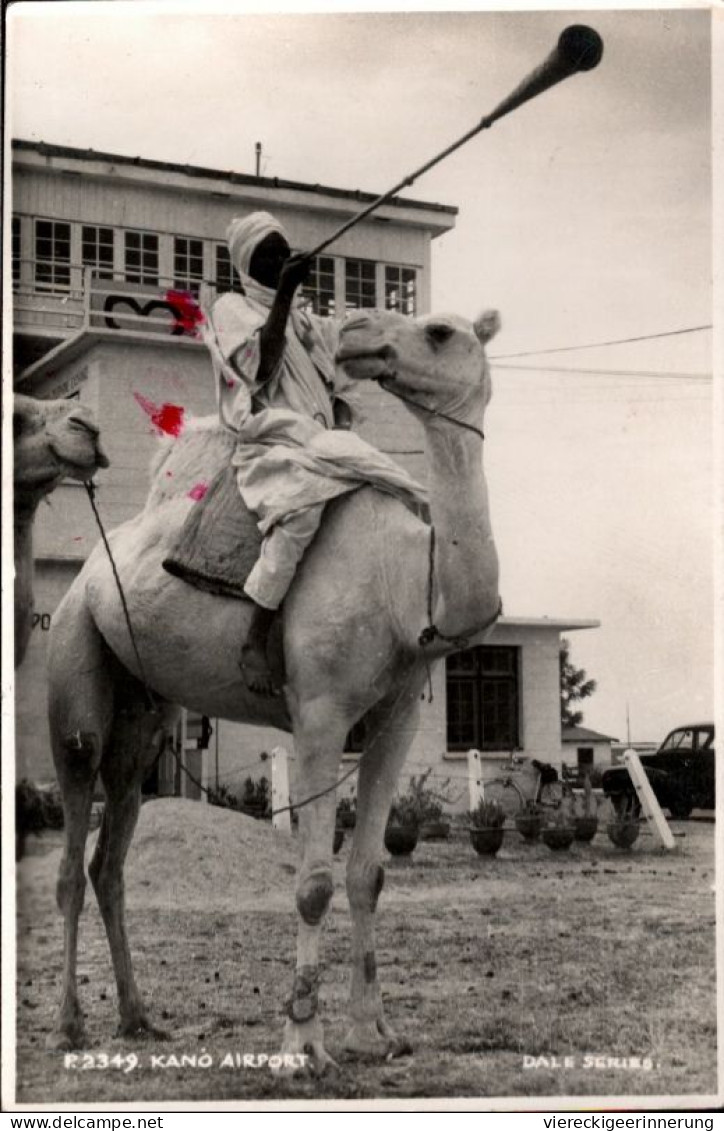 ! Foto Ansichtskarte, Kano Airport, Nigeria, Kamel, Flugplatz, Aerodrome, Sabena, Fluhafen, Camel - Aeródromos