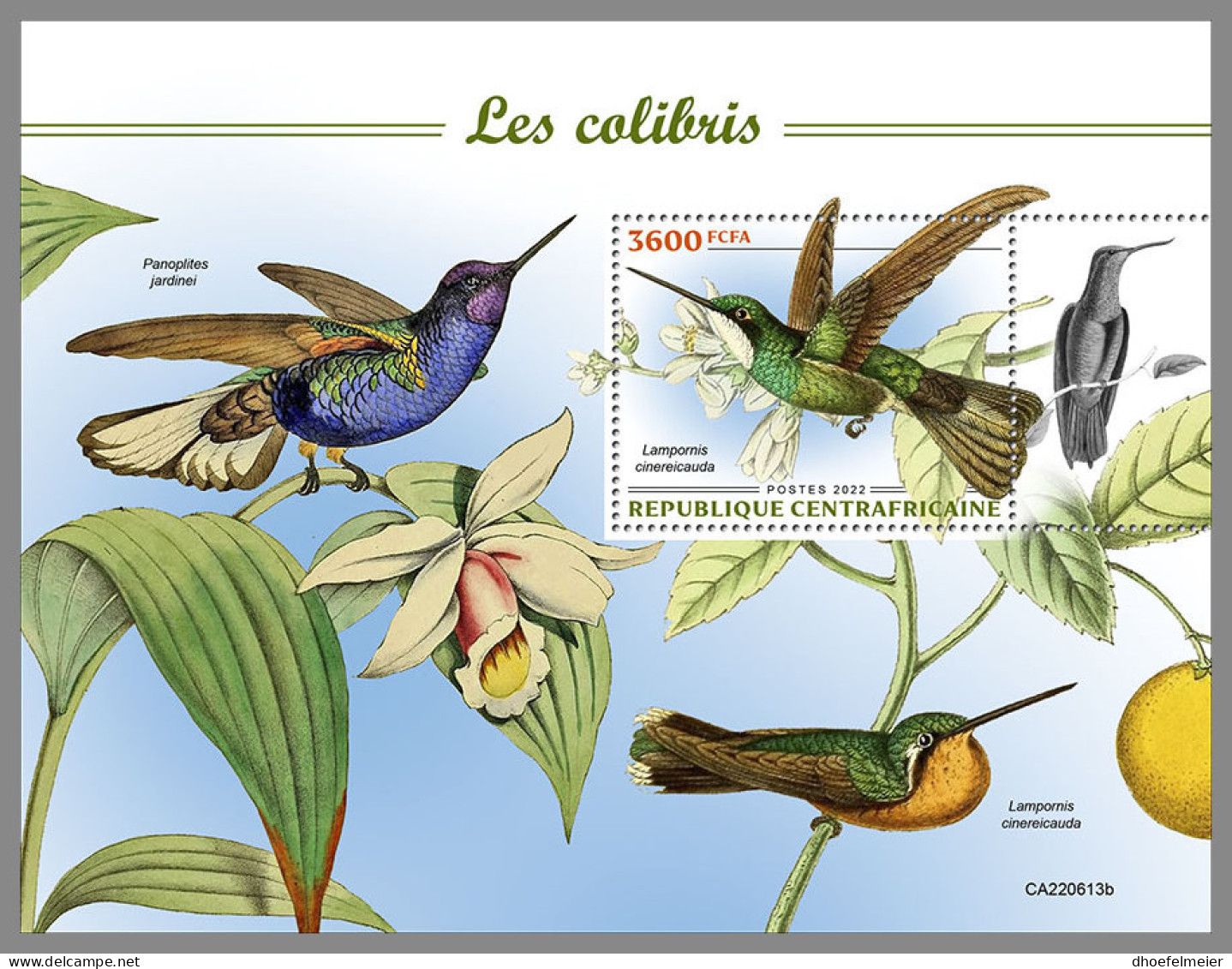 CENTRAL AFRICAN REP. 2022 MNH Hummingsbirds Kolibris Colibris S/S - OFFICIAL ISSUE - DHQ2314 - Kolibries