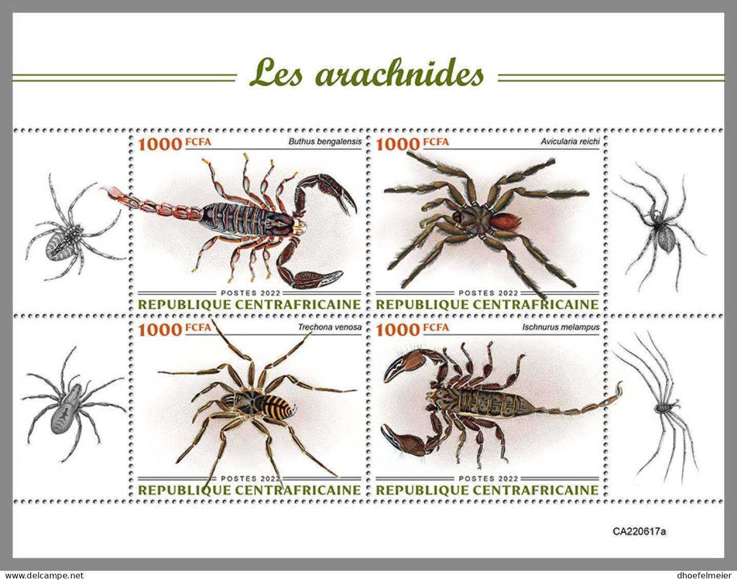 CENTRAL AFRICAN REP. 2022 MNH Arachnids Spinnentiere Arachnides M/S - OFFICIAL ISSUE - DHQ2314 - Ragni