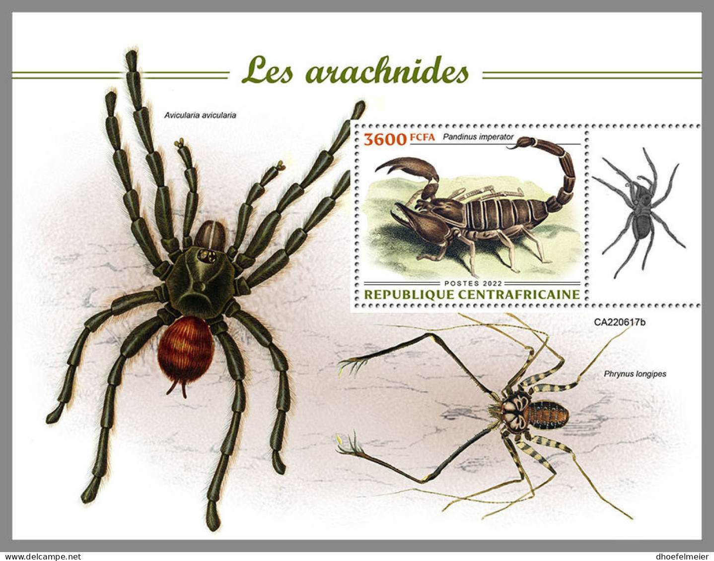 CENTRAL AFRICAN REP. 2022 MNH Arachnids Spinnentiere Arachnides S/S - OFFICIAL ISSUE - DHQ2314 - Ragni