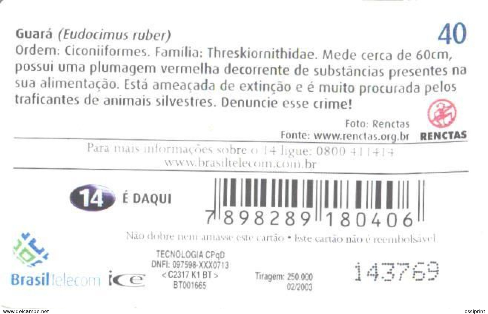Brazil:Brasil:Used Phonecard, Brasil Telecom, 40 Units, Bird, Eudocimus Ruber, 2003 - Brasilien