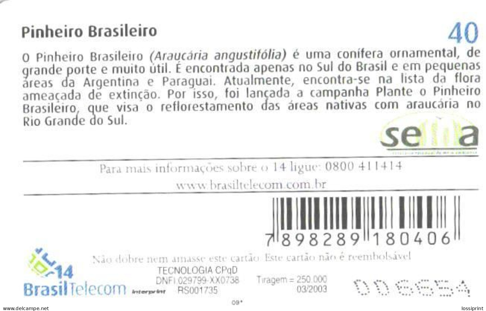 Brazil:Brasil:Used Phonecard, Brasil Telecom, 40 Units, Trees, 2003 - Brasilien