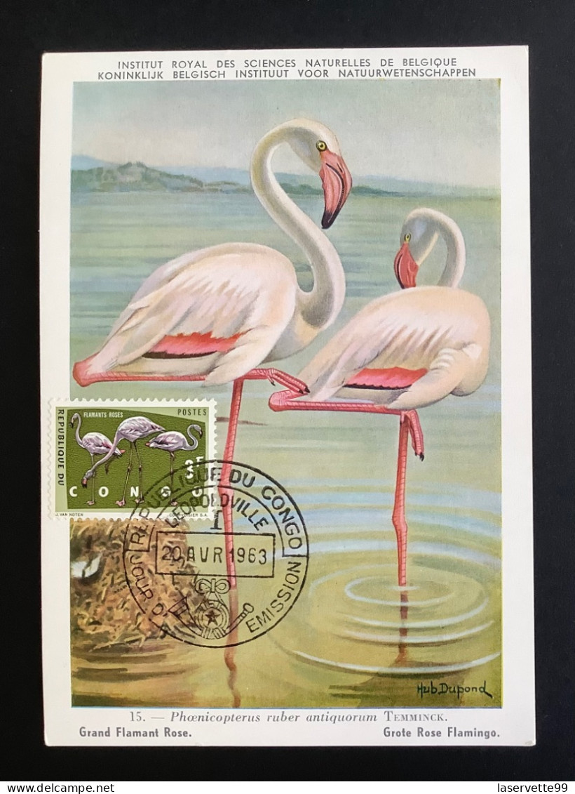 Carte Maximum Oiseau Flamant Rose 1963 Congo CM FDC Maximum Card - Flamants