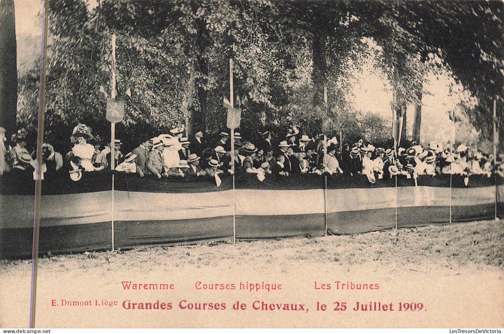 Belgique - Waremme - Courses Hippique - Les Tribunes - E. Dumont - Carte Postale Ancienne - Borgworm