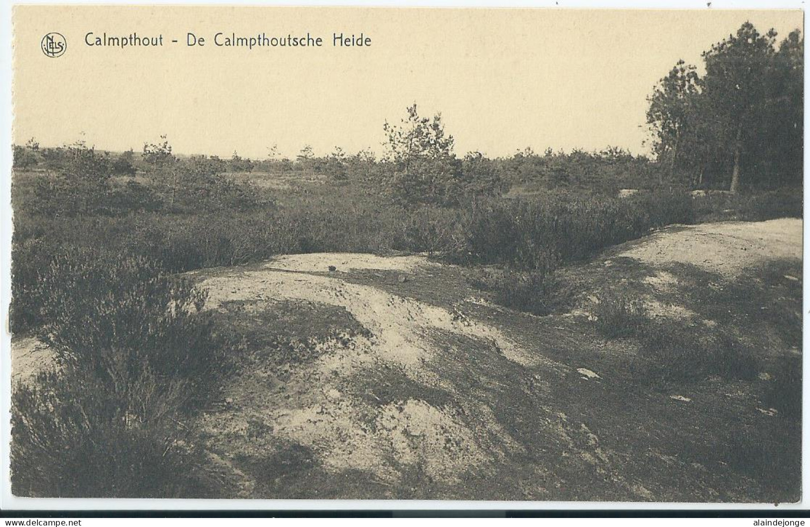 Kalmthout - Calmpthout - De Calmpthoutsche Heide - Kalmthout