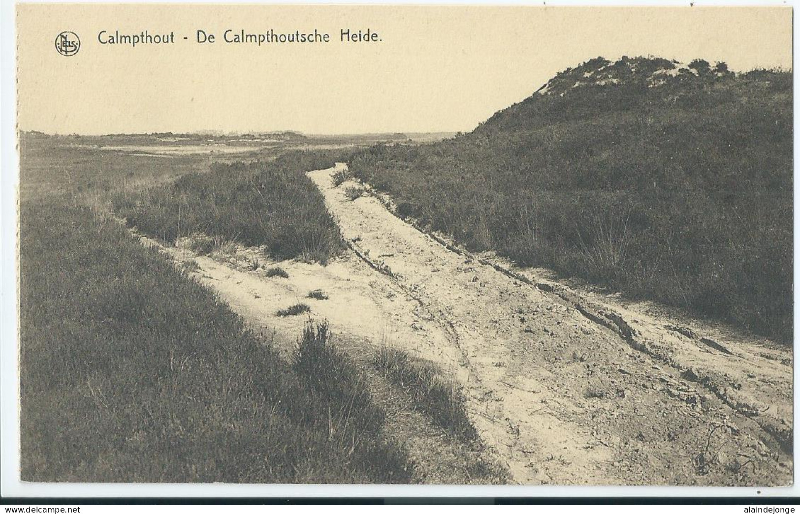 Kalmthout - Calmpthout - De Calmpthoutsche Heide - Kalmthout