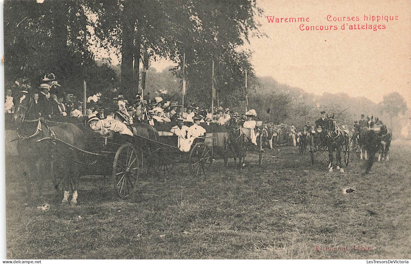 Belgique - Waremme - Courses Hippique - Concours D'attelages - Dumont - Animé -  Carte Postale Ancienne - Waremme