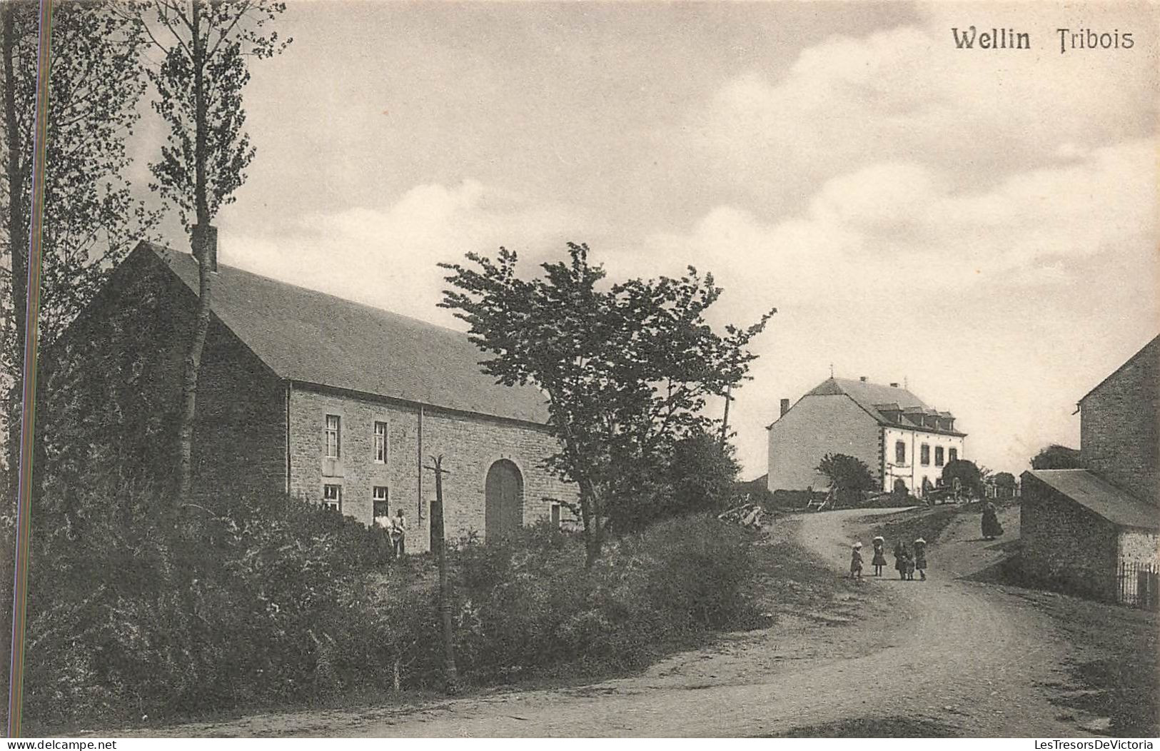 Belgique - Wellin - Tribois - Edit. Vve J. Banneux - Animé -  Carte Postale Ancienne - Neufchateau