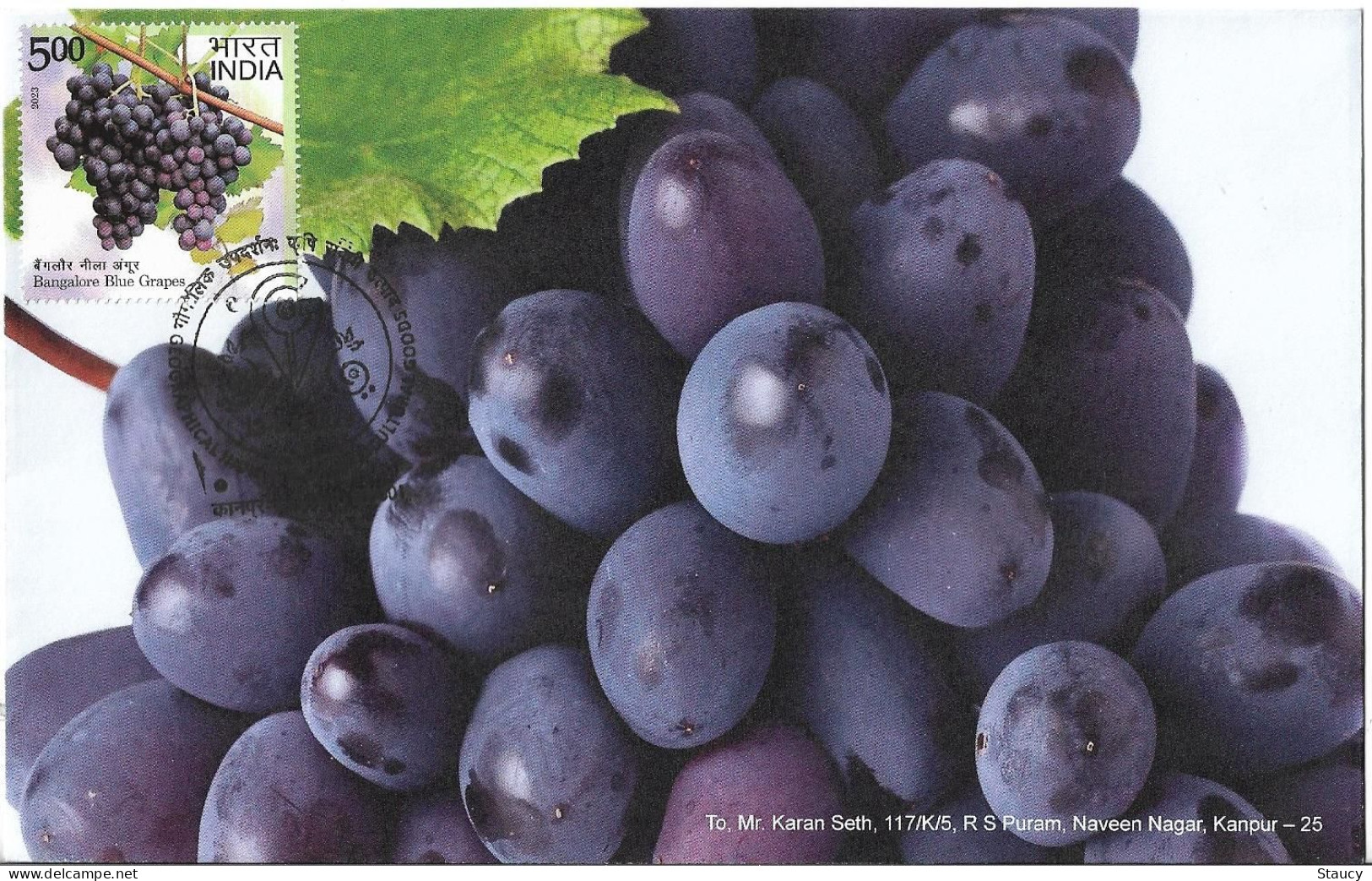 India 2023 GI Geological Indications: Agricultural Goods - Bangalore Blue Grapes, Special FDC Kanpur Cancelled As Scan - Agriculture