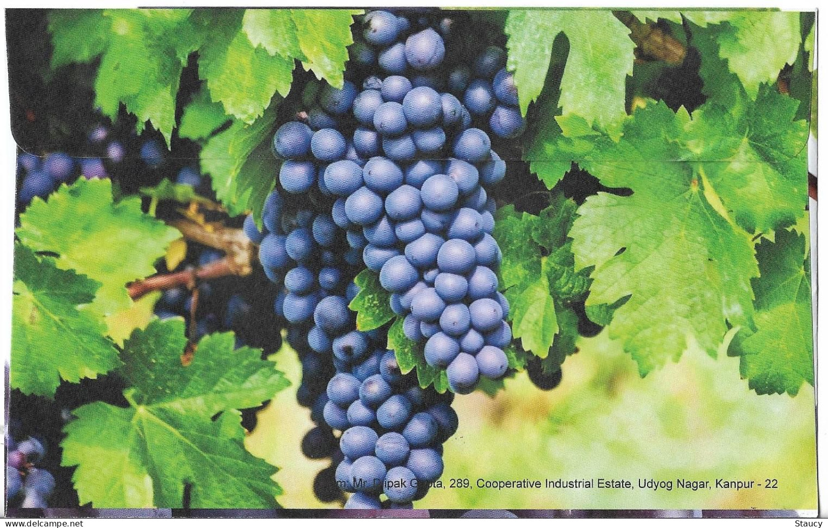 India 2023 GI Geological Indications: Agricultural Goods - Bangalore Blue Grapes, Special FDC Kanpur Cancelled As Scan - Agriculture