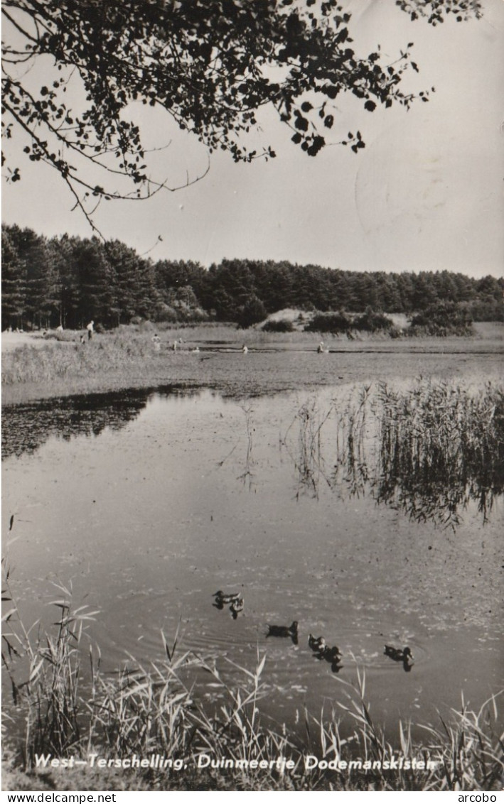 West Terschelling , Duinmeertje Dodemanskisten - Terschelling