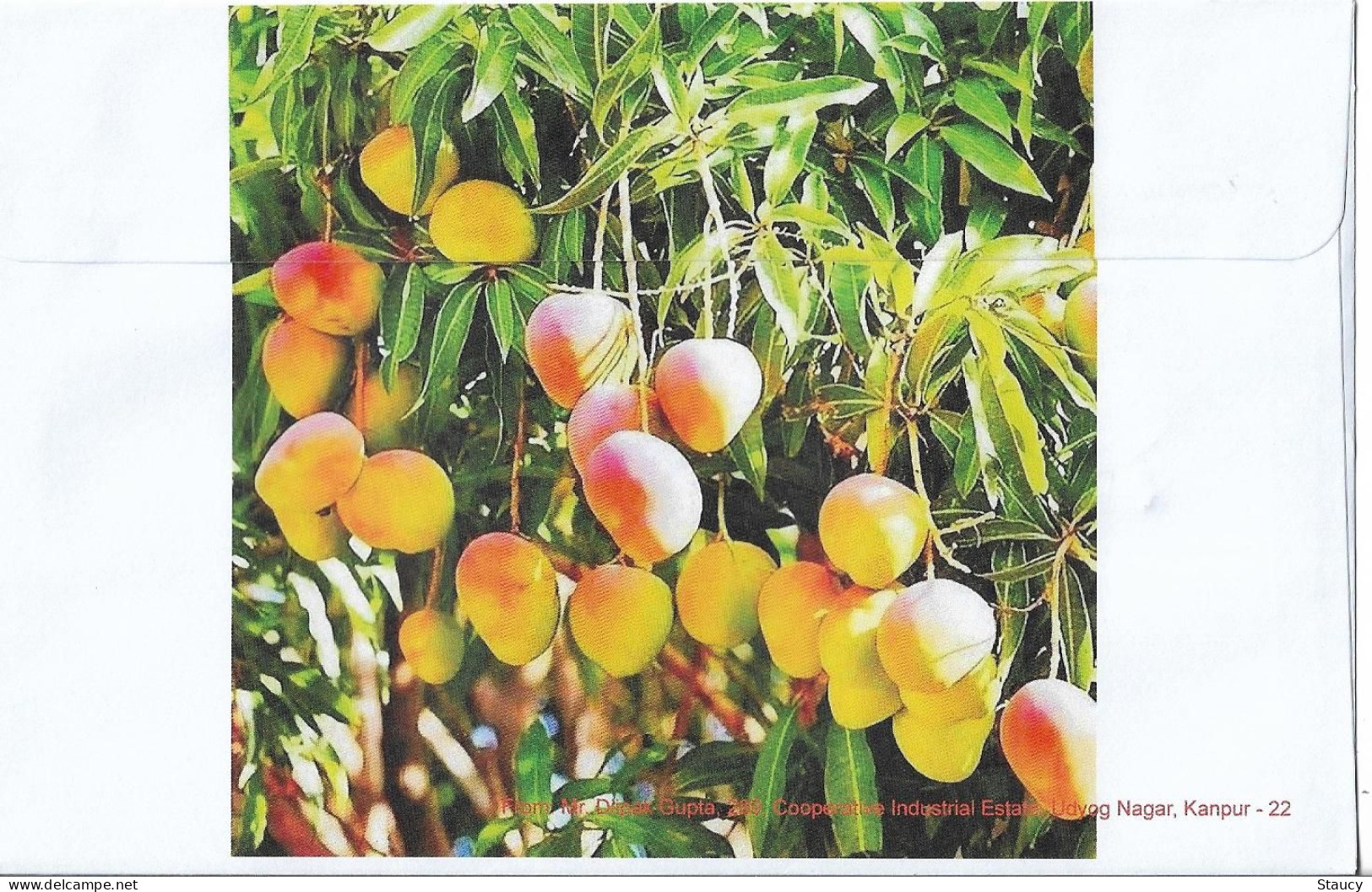 India 2023 GI Geological Indications: Agricultural Goods - Gir Kesar Mango, Special FDC Kanpur Cancelled As Scan - Agriculture