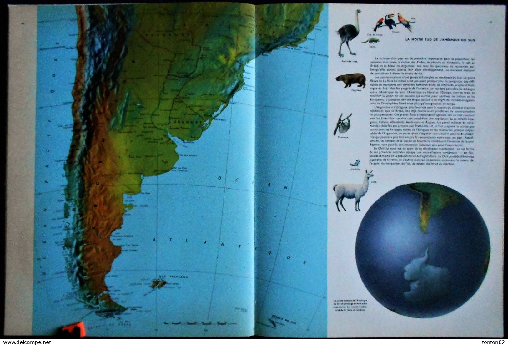 LA TERRE EST RONDE - GRAND ATLAS ILLUSTRÉ - Éditions du Pont Royal - ( 1958 ) .