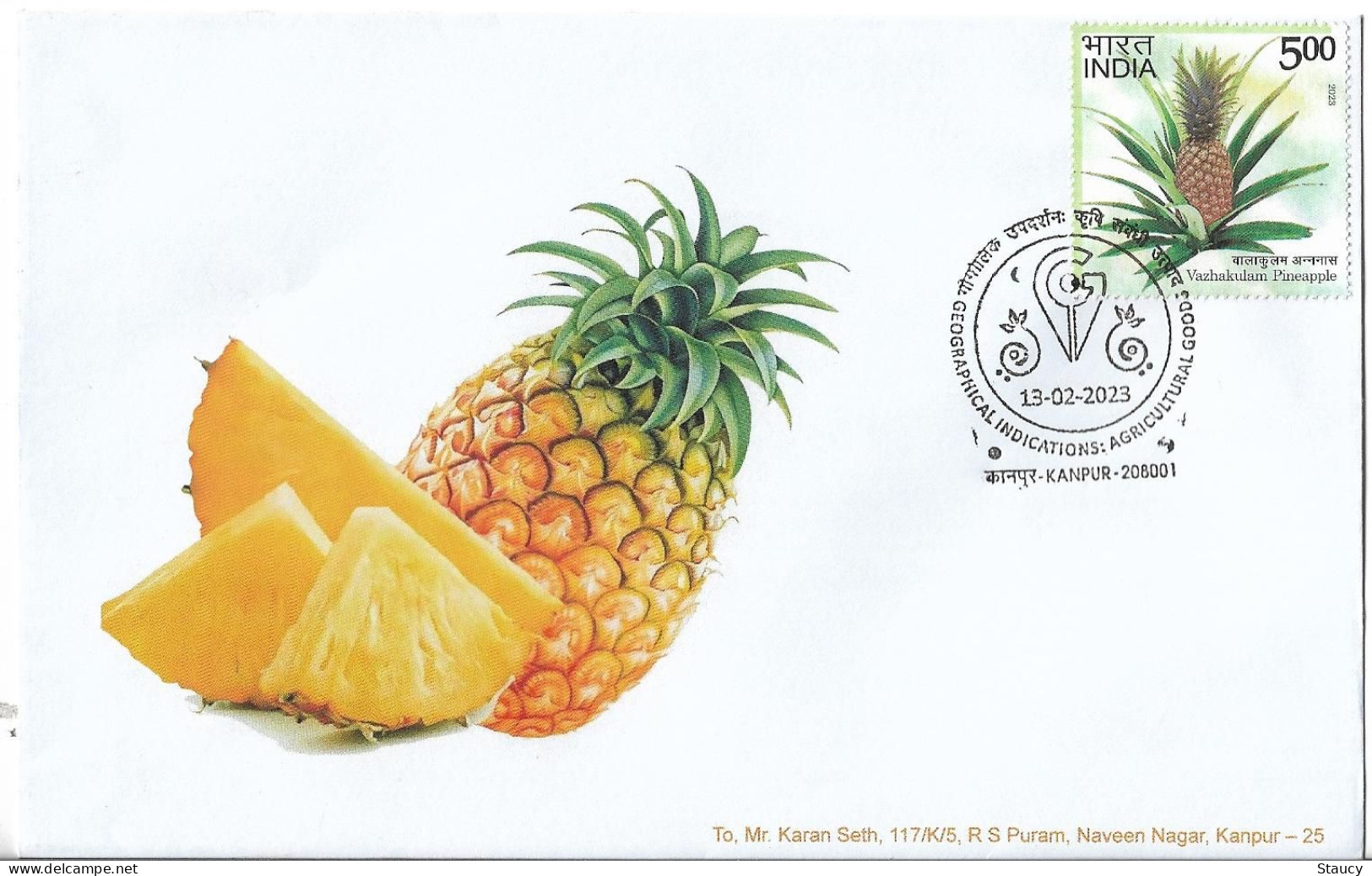 India 2023 GI Geological Indications: Agricultural Goods - VAZHAKULAM PINEAPPLE, Special FDC Kanpur Cancelled As Scan - Agriculture