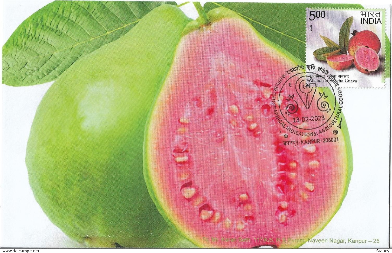 India 2023 GI Geological Indications: Agricultural Goods - ALLAHABAD SURKHA GUAVA, Special FDC Kanpur Cancelled As Scan - Agriculture