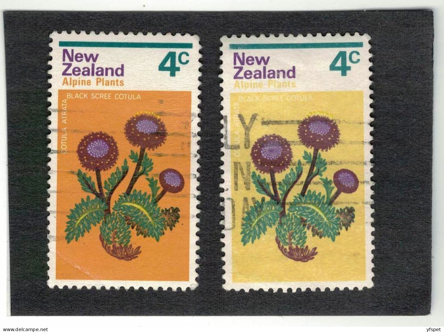 New Zealand - Error, Mi. No. 584 Colour Red Missing - Variétés Et Curiosités