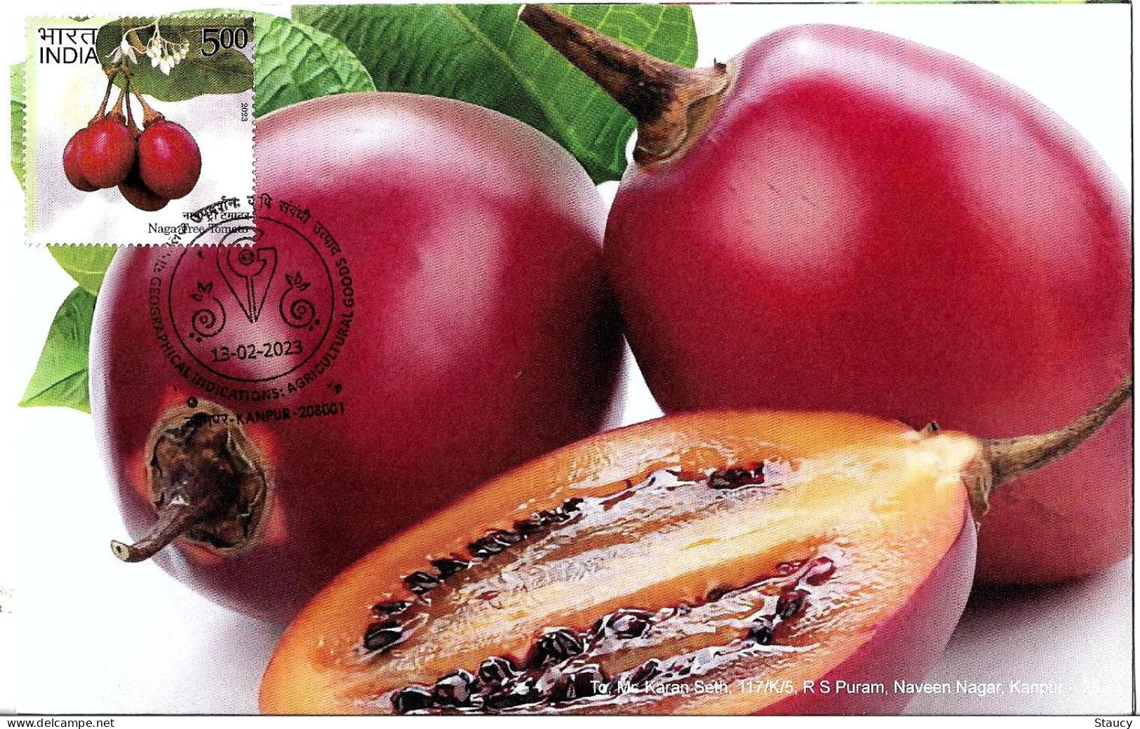 India 2023 GI Geological Indications: Agricultural Goods - NAGA TREE TOMATO, Special FDC Kanpur Cancelled As Scan - Agriculture