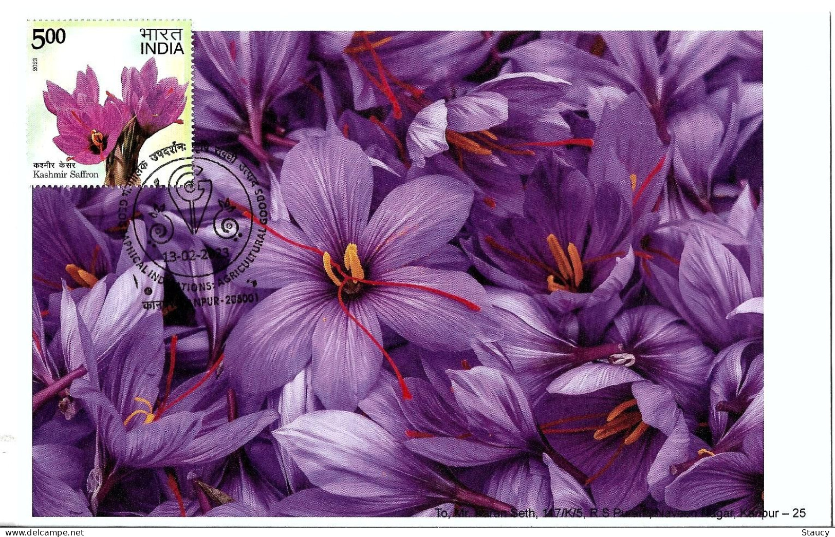 India 2023 GI Geological Indications: Agricultural Goods - KASHMIR SAFFRON, Special FDC Kanpur Cancelled As Scan - Agriculture