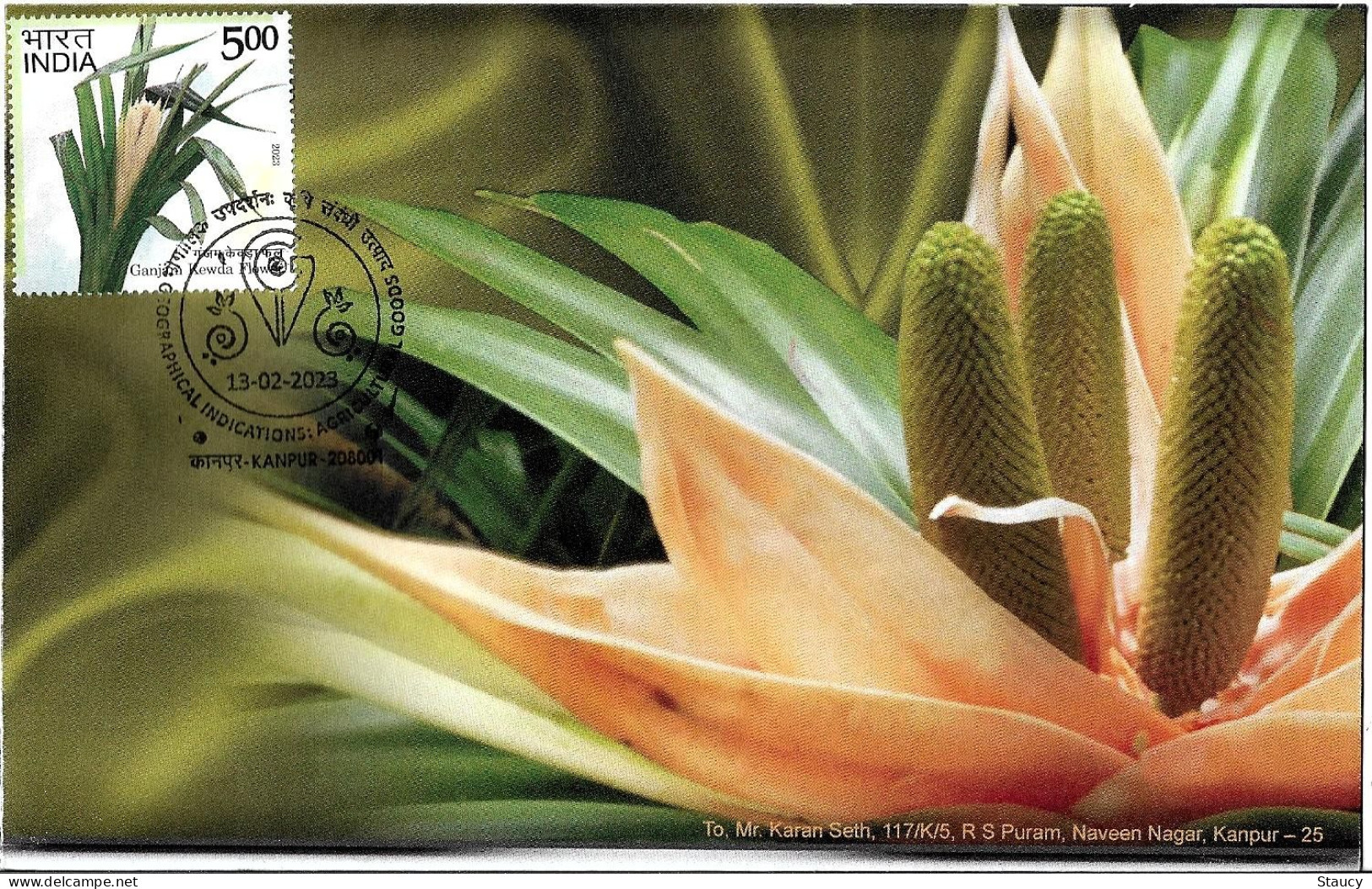 India 2023 GI Geological Indications: Agricultural Goods - GANJAM KEWDA FLOWER, Special FDC Kanpur Cancelled As Scan - Agriculture