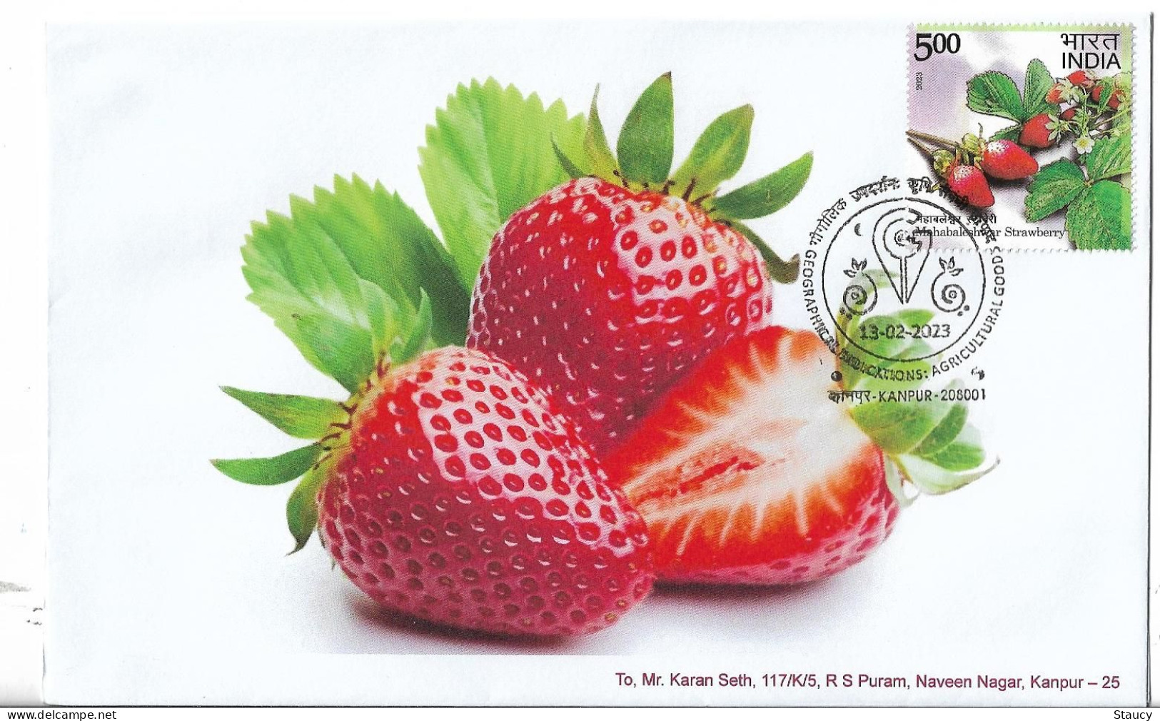 India 2023 GI Geological Indications: Agricultural Goods- MAHABALESHWAR STRAWBERRY, Special FDC Kanpur Cancelled As Scan - Agriculture