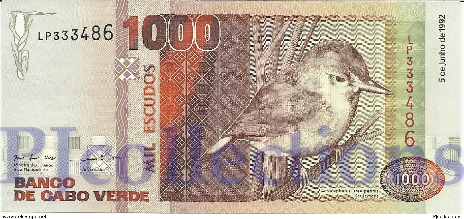 CAPE VERDE 1000 ESCUDOS 1992 PICK 65a UNC - Cape Verde