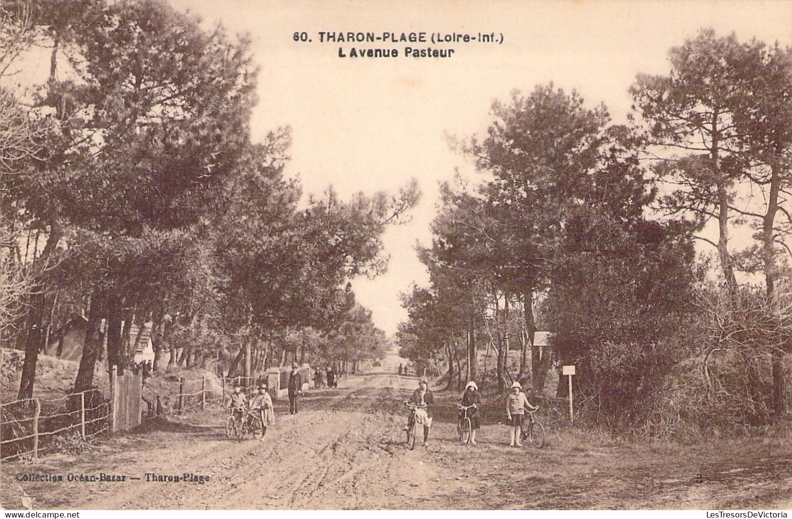 FRANCE - 44 - THARON PLAGE - L'Avenue Pasteur - Carte Postale Ancienne - Tharon-Plage