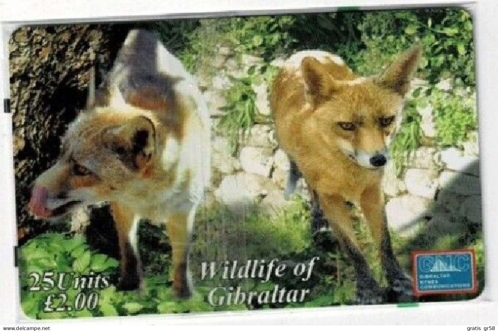 Gibraltar - GIB-C-32, Red Fox, Wildlife Of Gibraltar, 2001, 3000ex, Mint NSB` - Gibilterra