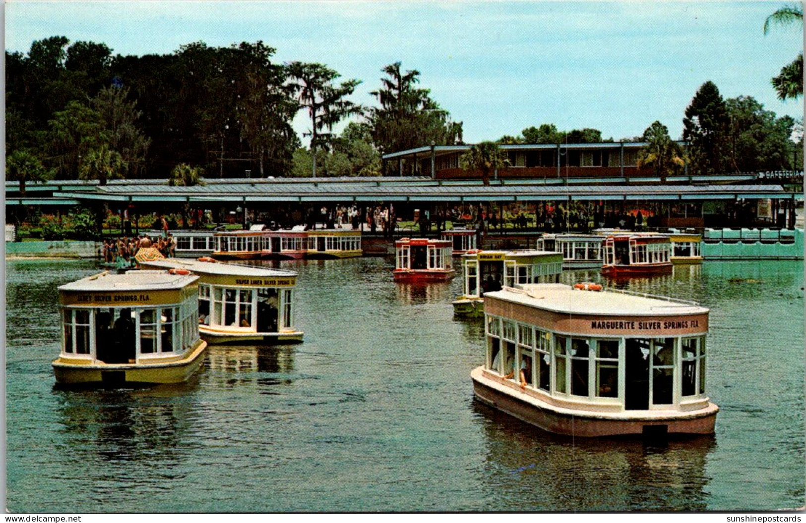 Florida Silver Springs Glass Bottom Boats - Silver Springs