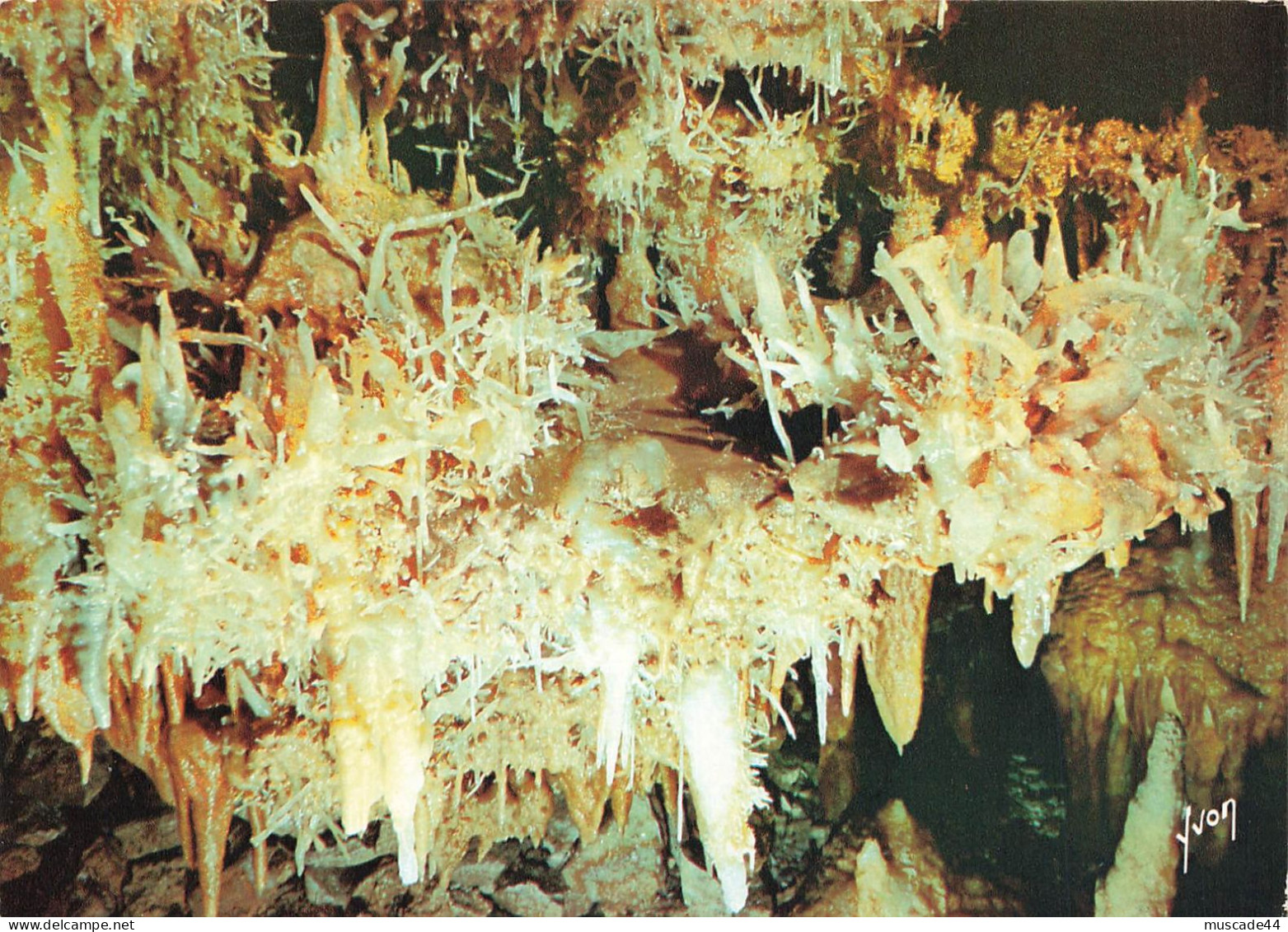 LES EYZIES - LA GROTTE DU GRAND ROCA LAUGERIE BASSE - LE BLANC DE CORAIL - Les Eyzies