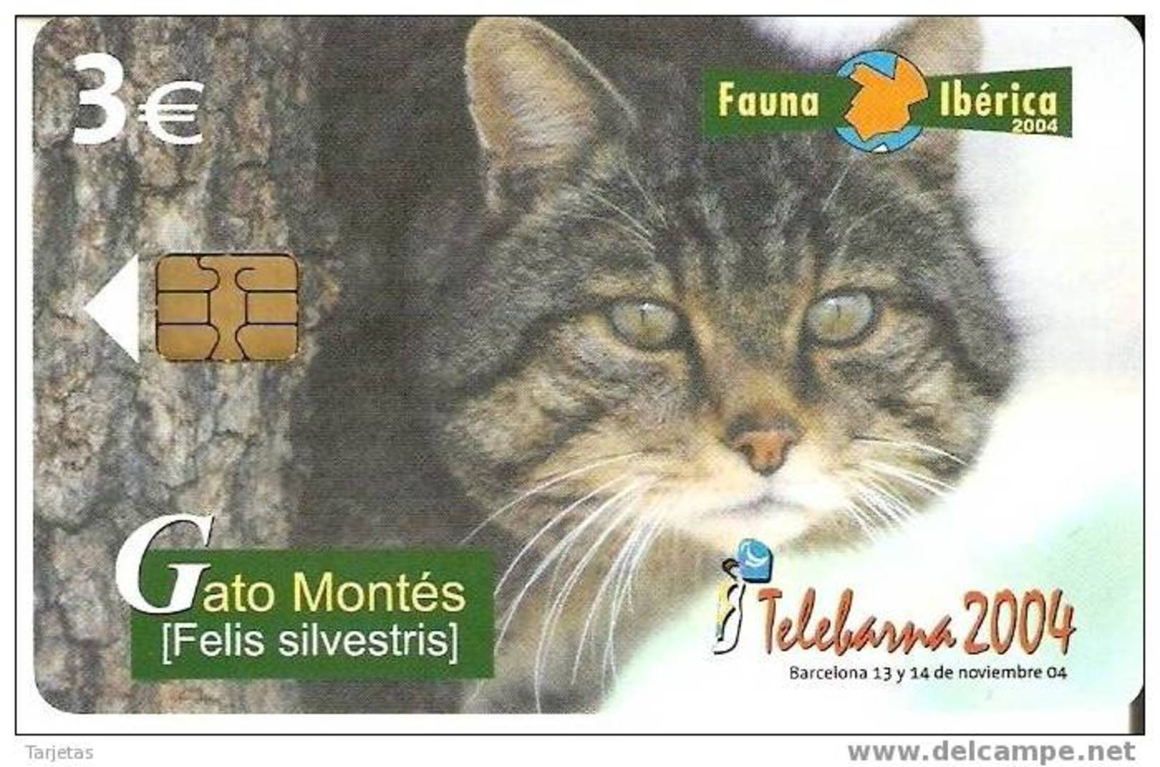 TARJETA DEL GATO MONTES DE LA FAUNA IBERICA Y TIRADA 4000 (CAT-CHAT) - Privatausgaben