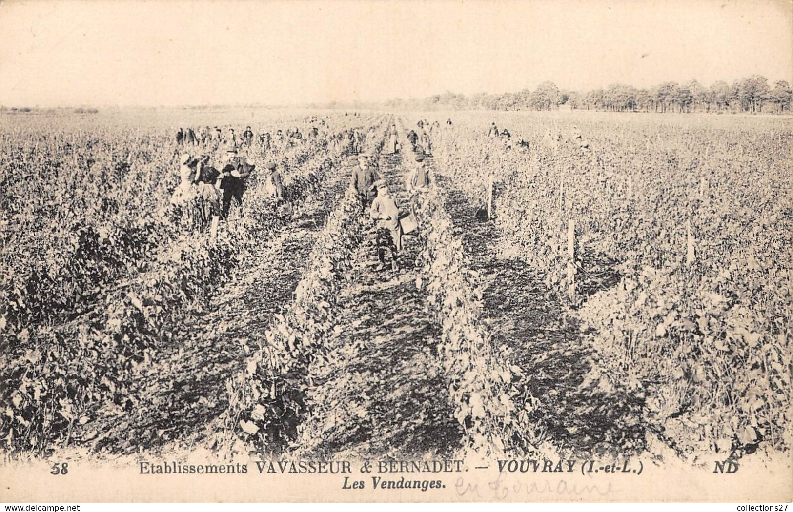 37-VOUVRAY- ETABLISSEMENT VAVASSEUR ET BERNADET - LES VENDANGES - Vouvray