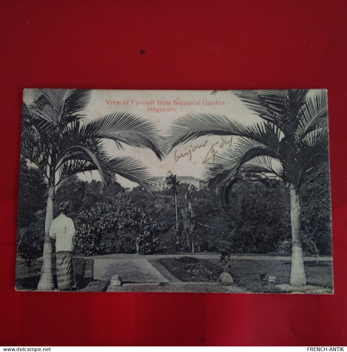 VIEW OF TYERSALL FROM BOTANICAL GARDEN SINGAPORE - India