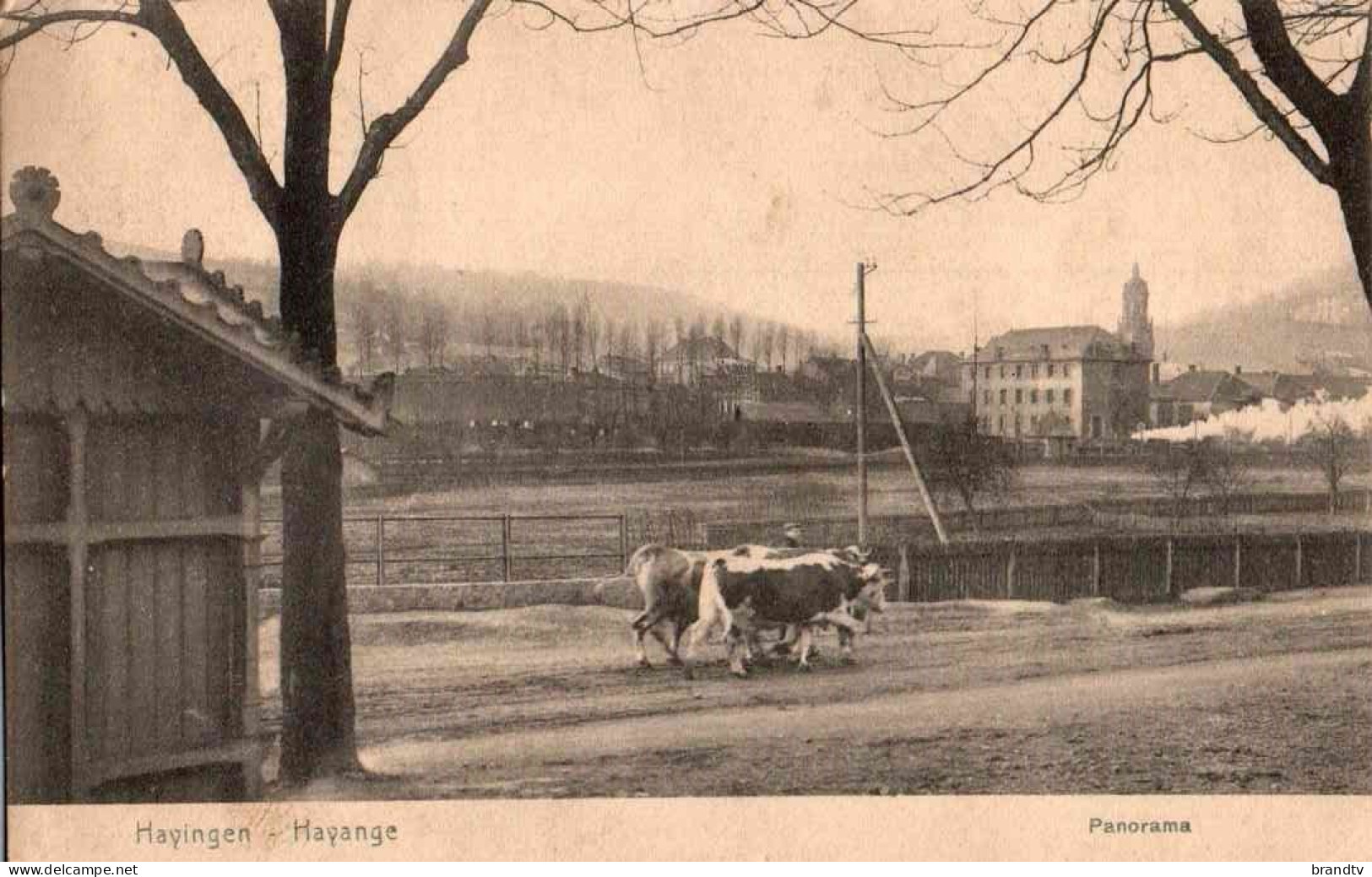 57  HAYINGEN HAYANGE Panorama Carte NELS Série 114 N° 19 - Hayange