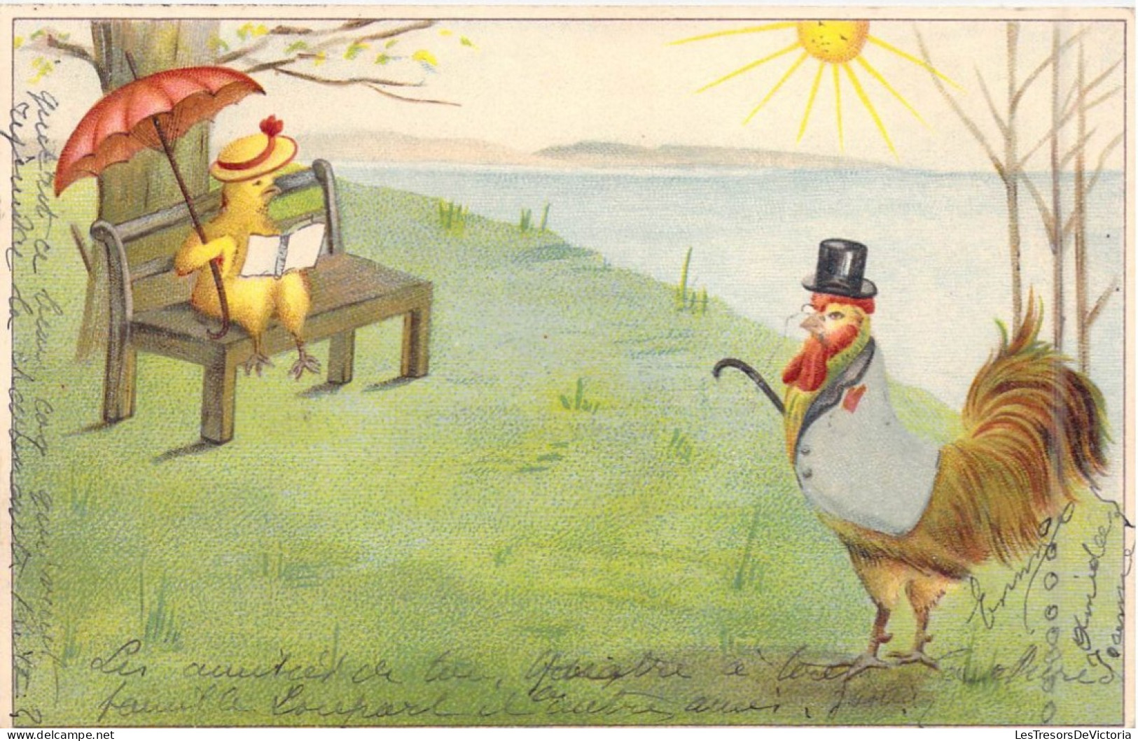 FANTAISIE - Poussin - Coq - Soleil - Costume - Chapeau - Cane - Carte Postale Ancienne - Animali Abbigliati