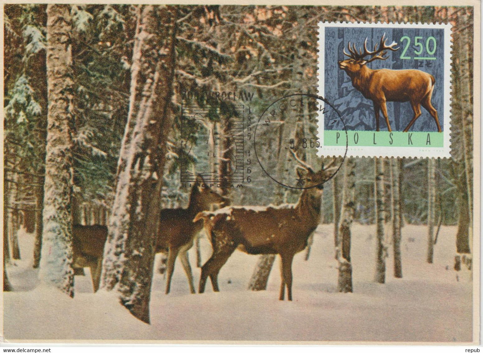 Pologne Carte Maximum 1965 Cerf 1489 - Cartes Maximum