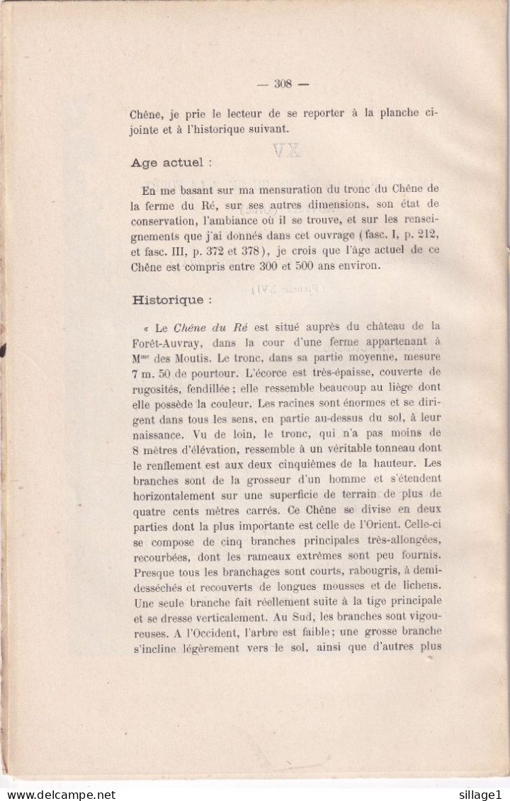 Auvray (Orne 61) Le Chêne De La Ferme Du Ré, à La Forêt-Auvray Photographié 17/04/1897 Falaise Mme Charles Des Moutis - Other Plans