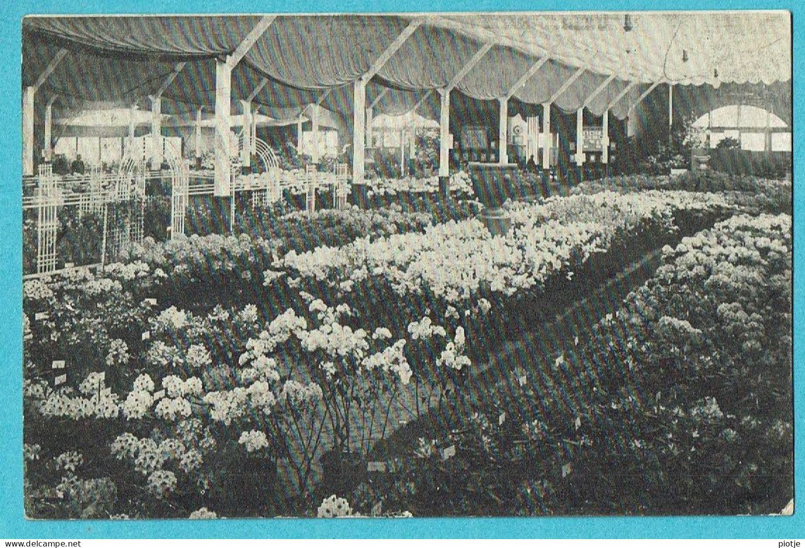 * Boskoop (Zuid Holland - Nederland) * (Uitgave A.J. Mathot) Grote Bloemen Tentoonstelling, 5 - 20 April 1911, Fleurs - Boskoop