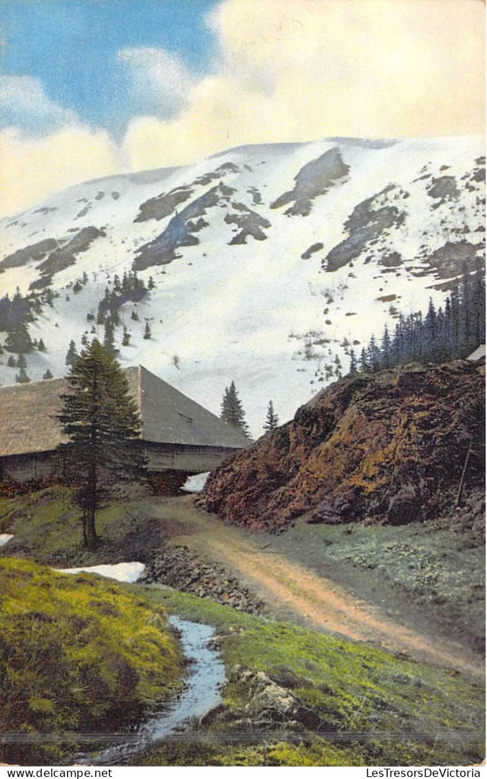 ALLEMAGNE - Feldberg - Schwarzwald - Carte Postale Ancienne - Other & Unclassified