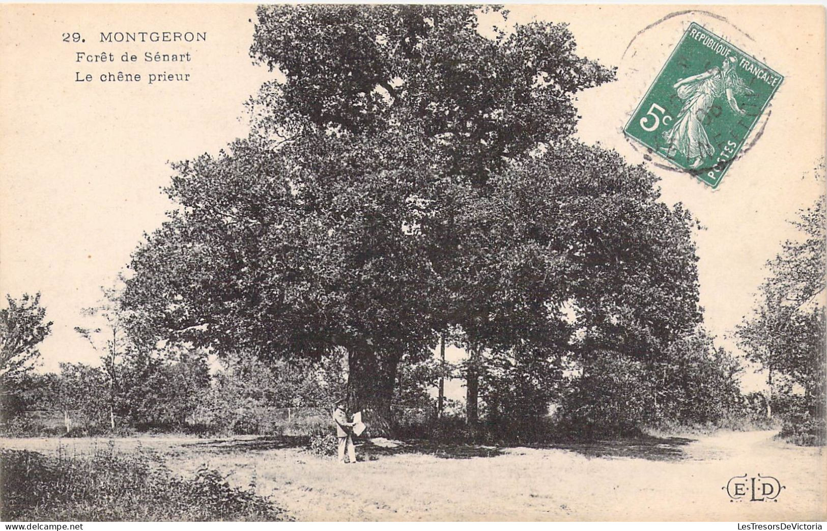 FRANCE - 91 - Montgeron - Forêt De Sénart - Le Chêne Prieur  - Carte Postale Ancienne - Montgeron